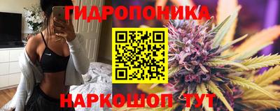 дмт Бийск