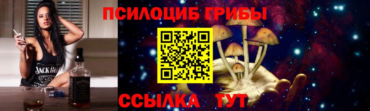 наркошоп  Галлюциногенные грибы Psilocybine cubensis  Вход с VPN  Кемерово 